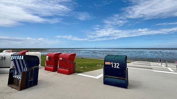 Strandkörbe am Trischendiek Strand in Friedrichskoog-Spitze