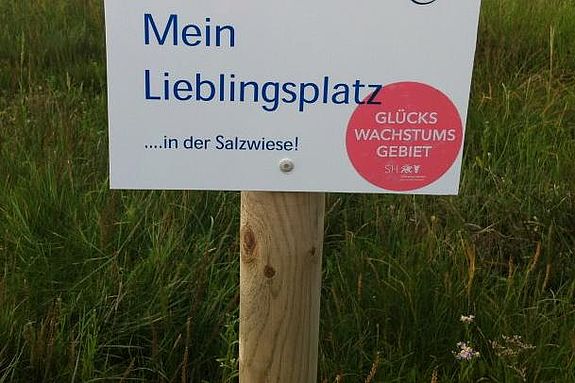 Lieblingsplatz Salzwiese